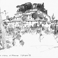 Cetona_crop1